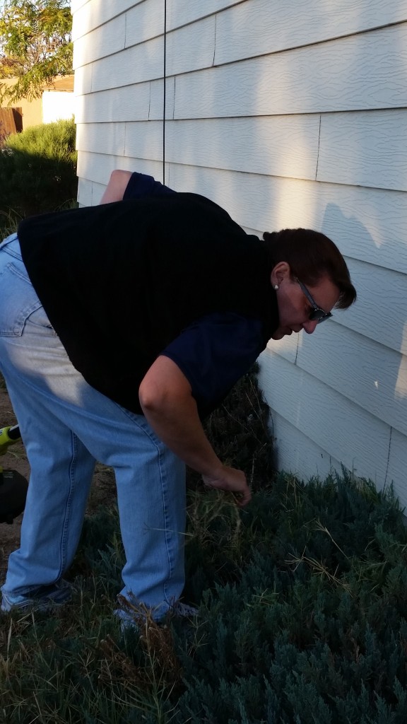 FPD Code Compliance Yard Cleanup 9-26-15 (3)